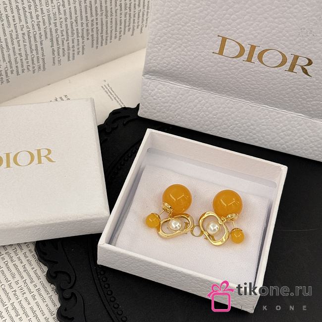 Dior Gold Earrings - 1