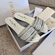 Dior Dway Silver Butterflies Patterns Slippers - 3