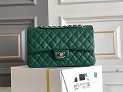 Chanel Classic Green Caviar Light Gold Hardware Bag 15.5×25.5×6.5cm - 1