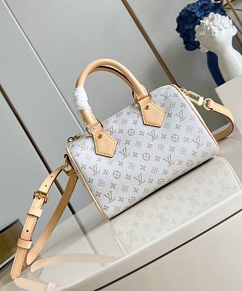 LV Speedy Bandoulière 20 Polyamide Mastic M12747 - 20.5x13.5x12cm