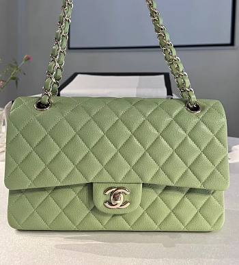 Chanel Classic Handbag Caviar Green - 25cm