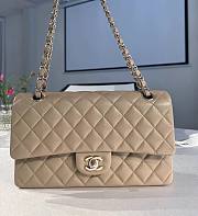 Chanel Classic Handbag Caviar Beige - 25cm - 1