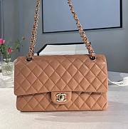 Chanel Classic Handbag Caviar Milk Tea Brown - 25cm - 1