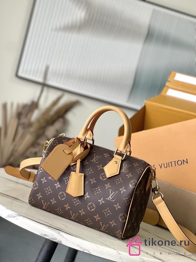 LV Speedy P9 Bandoulière 25 Monogram M24443 - 15x15x25cm - 1