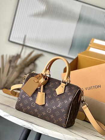 LV Speedy P9 Bandoulière 25 Monogram M24443 - 15x15x25cm