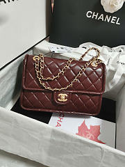 Chanel Large Flap Bag Shiny Crumpled Calfskin & Gold-Tone Metal Dark Brown - 19.5×28×7cm - 1