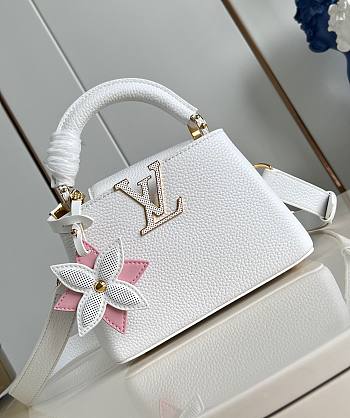 LV Capucines Mini Snow White M21416 - 21x14x8cm