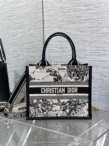 Small Dior Book Tote Latte and Black Dior Zodiac Embroidery with Black Calfskin - 26.5x22x14cm