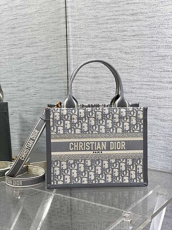 Small Dior Book Tote Gray Dior Oblique Embroidery and Calfskin - 26.5x22x14cm