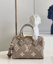 LV Speedy Bandouliere 20 Gray Beige M46575 - 13.5x12x20.5cm - 1