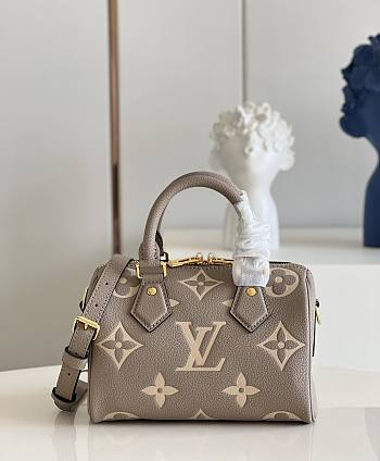 LV Speedy Bandouliere 20 Gray Beige M46575 - 13.5x12x20.5cm