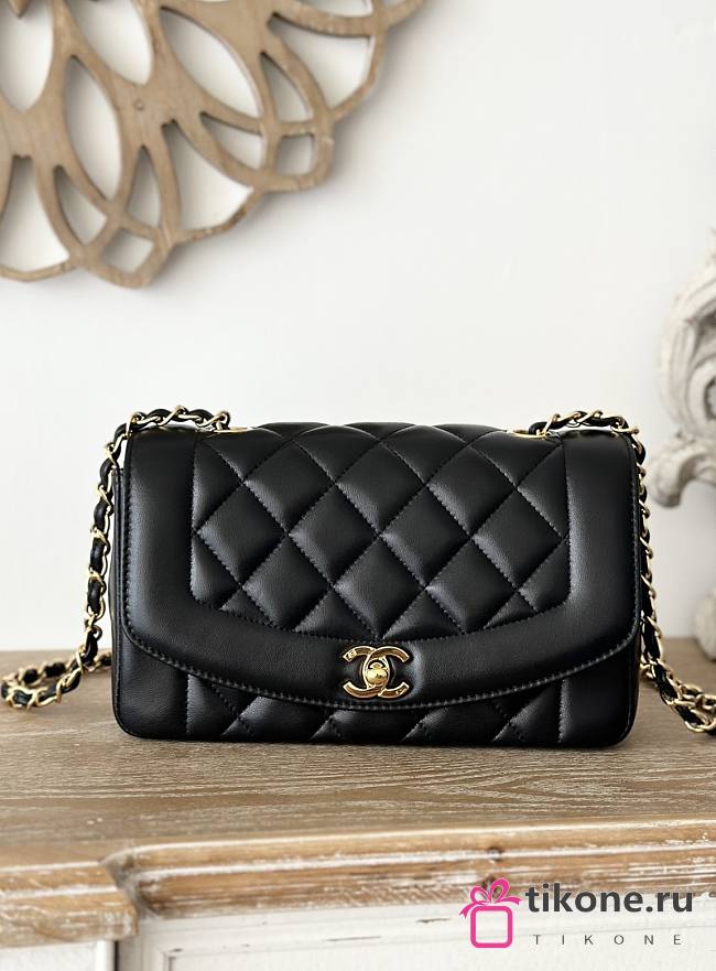 Chanel Diana Small Black Lambskin - 22x14x7cm - 1