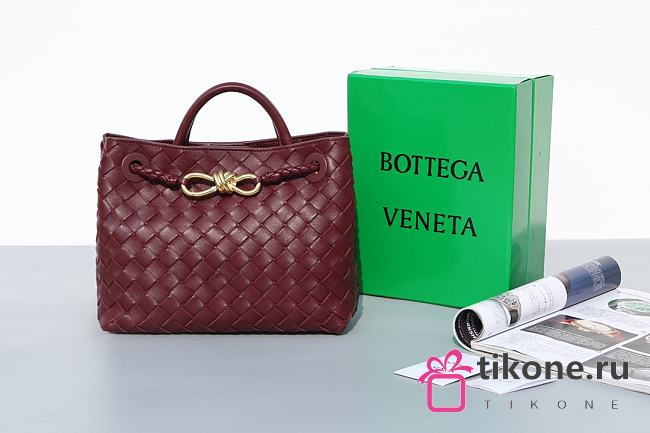 Bottega Veneta Small Andiamo Intrecciato Burgundy - 25x20x10cm - 1