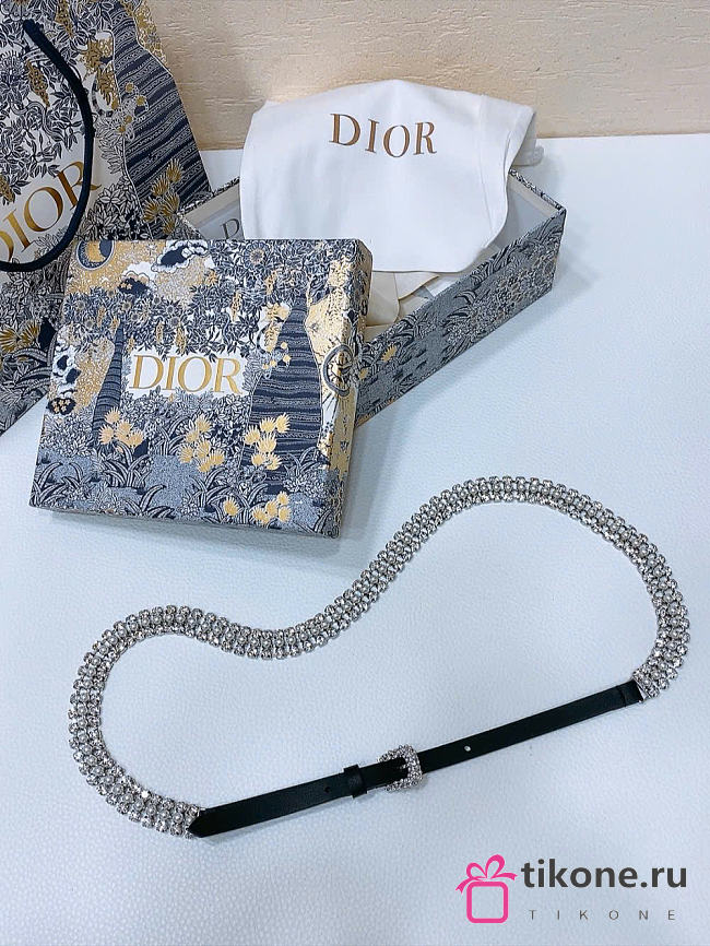 Dior Sparkle Belt Black Smooth Calfskin Metal Resin Pearls And Silver Tone Crystals 10mm - 1