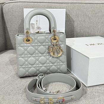 Small Lady Dior My ABCDior Bag Gray Cannage Lambskin - 20x17x8cm