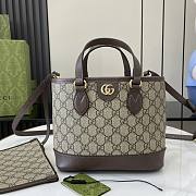 Gucci Ophidia Mini Tote Bag Beige And Ebony - 22x18x10cm - 1