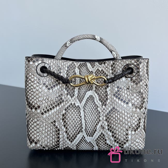 Bottega Veneta Small Andiamo Python - 25x20x10cm - 1