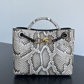 Bottega Veneta Small Andiamo Python - 25x20x10cm