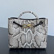 Bottega Veneta Small Andiamo Python - 25x20x10cm - 2