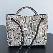 Bottega Veneta Small Andiamo Python - 25x20x10cm - 3