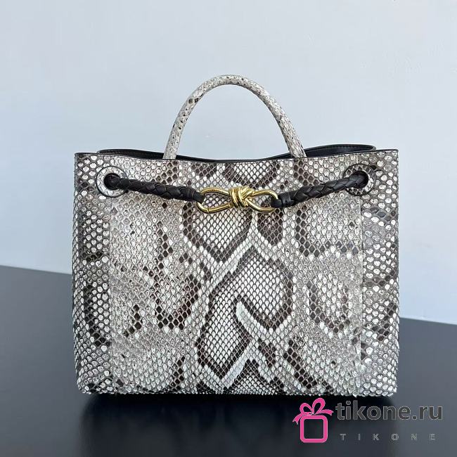 Bottega Veneta Medium Andiamo Python - 32.5x24x12cm - 1