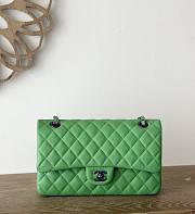 Chanel Classic Lamskin Two Sided Green - 15.5×25.5×6.5cm - 1