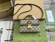 Gucci Ophidia Mini Bag Beige and Ebony GG - 18.5x11x5cm - 1