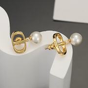 Dior Earrings 15824 - 4