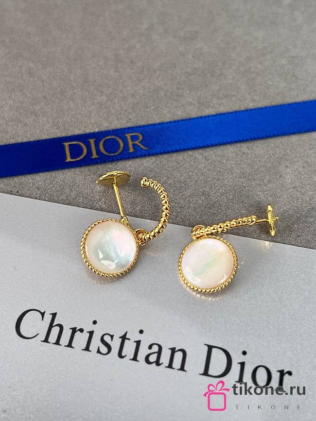 Dior Earrings 15826 - 1