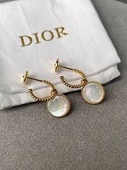 Dior Earrings 15826 - 3