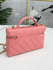 Chanel Long Vanity With Chain Grained Calfskin Gold Tone Metal Light Pink - 19.5x17x5cm - 6