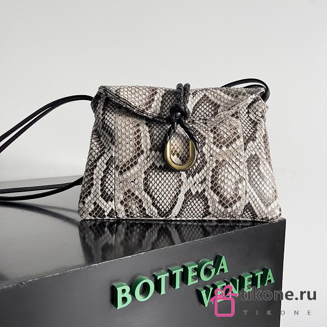 Bottega Veneta Small Liberta Python Leather - 27.5x16x6cm - 1