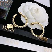 Dior Earrings 16191 - 4