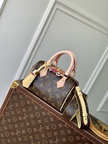 LV Speedy 18 Monogram - 18x12x10cm