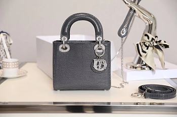 Mini Lady Dior Bag Gray Mizard Lamskin Diamond - 17x15x7cm