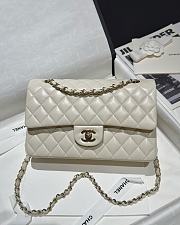 Chanel Classic Off White Lamskin Light Gold Hardware Bag - 15.5×25.5×6.5cm - 1