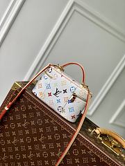 LV x TM Vanity Chain Pouch Other Monogram Canvas M13662 - 19x11.5x6.5cm - 4