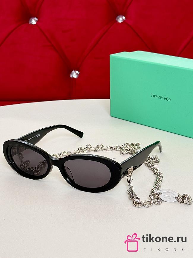 Tiffany Sunglasses in Black Acetate with Dark Grey Lenses - 1