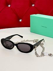 Tiffany Sunglasses in Black Acetate with Dark Grey Lenses - 1