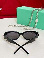 Tiffany Sunglasses in Black Acetate with Dark Grey Lenses - 2