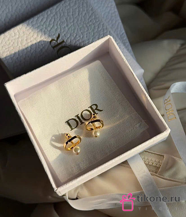 Dior Earrings 15824 - 1