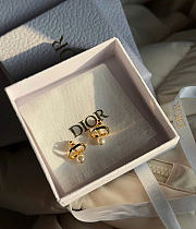 Dior Earrings 15824 - 1