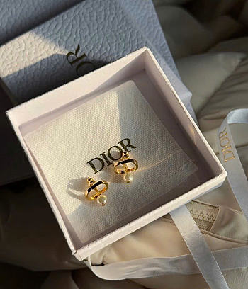 Dior Earrings 15824