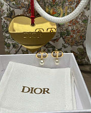 Dior Earrings 15824 - 5