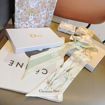 Dior Herbarium Mitzah Scarf Light Green - 6x100cm