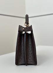 Fendi Peekaboo ISeeU Small Petite Chocolate Ostrich Leather Bag - 27x11x20cm - 5