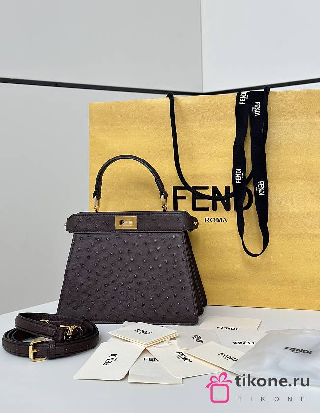 Fendi Peekaboo ISeeU Petite Chocolate Ostrich Leather Bag - 20x11x15cm - 1