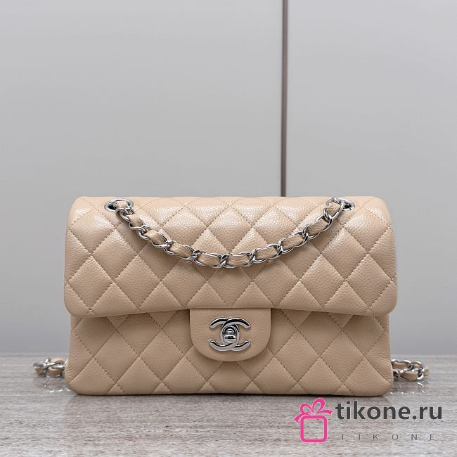 Chanel Classic Beige Caviar Silver Hardware Bag - 14.5x23x6cm - 1