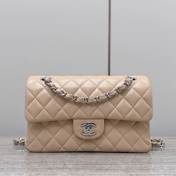 Chanel Classic Beige Caviar Silver Hardware Bag - 14.5x23x6cm