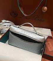 Polo Piana Extra Pocket L19 Ostrich Leather Silver Hardware - 11x19x7cm - 6